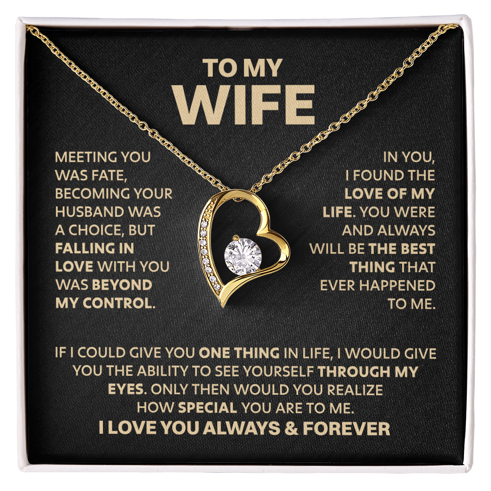 For my wife necklace “Meeting you was fate” Ziavia Heart Necklace
