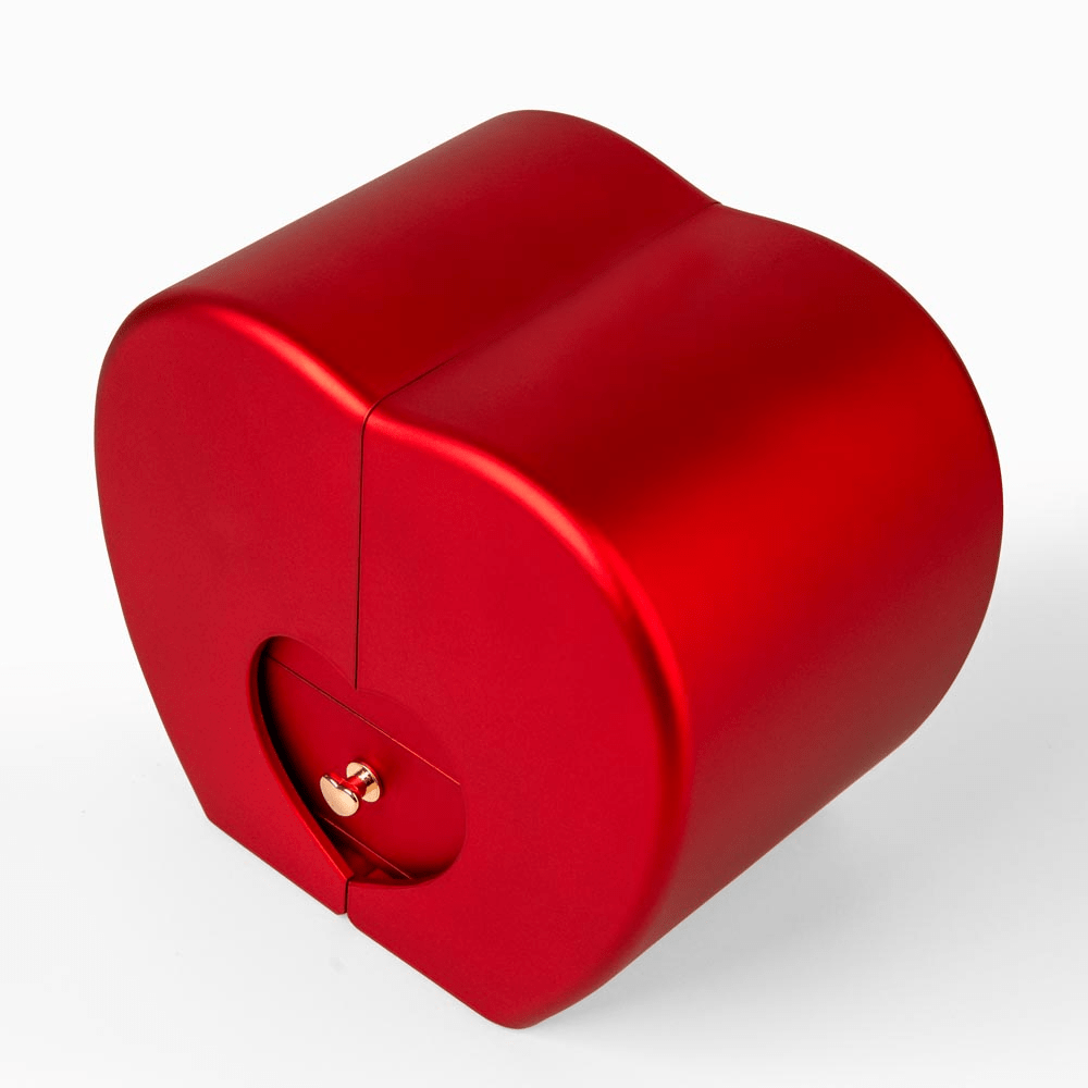 Ziavia Heart Rose Box - Heart Necklace - Wife My Last Everything