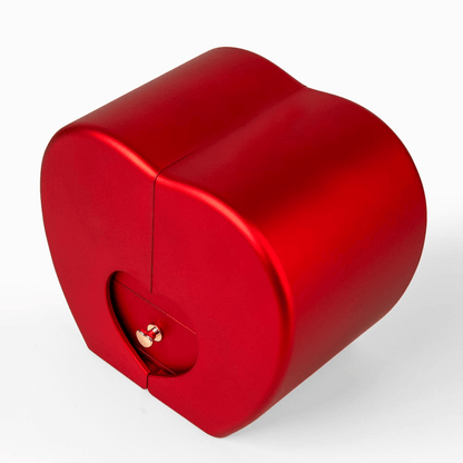 Ziavia Heart Rose Box - Heart Necklace - Wife My Last Everything